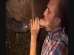 After a blowjob, a horny homosexual man swallows a horse cream pie.